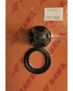 HAWK VALVE 2601.31