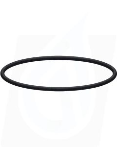 O-RING FOR FILTER HOUSINGS