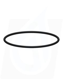 INTERPUMP FILTER CAP O-RING