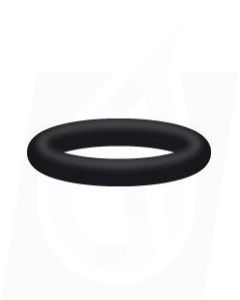 INTERPUMP O-RING 