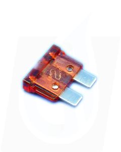 1 - 10 amp Standard Blade Fuse