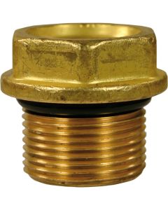 INTERPUMP VALVE PLUG