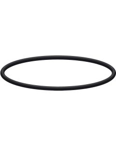 O-RING FOR FILTER HOUSINGS