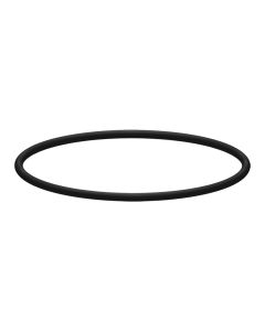 INTERPUMP FILTER CAP O-RING