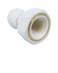 "3/8"" x 1/4 nptf FEMALE ADAPTOR"