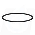 INTERPUMP FILTER CAP O-RING